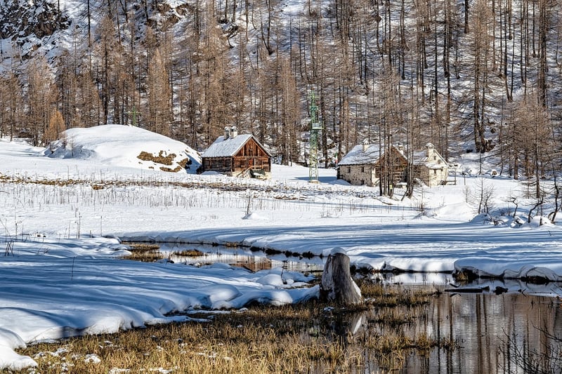 Cabin Retreat